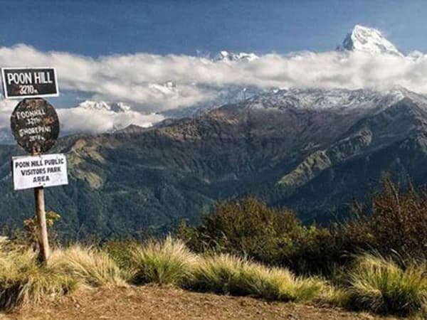 ghorepani-poonhill-trekking